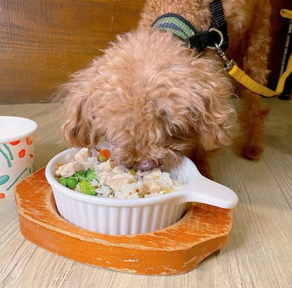 森林小徑文心店对宠物超友善